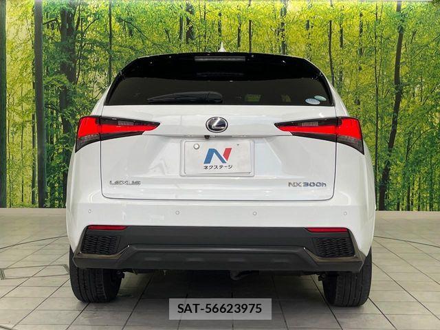 Lexus NX 2019-01 8525571-14