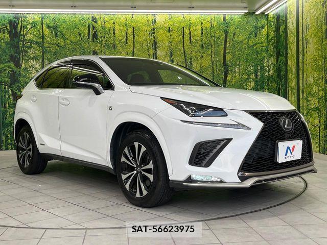 Lexus NX 2019-01 8525571-15