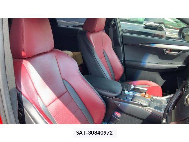 Lexus NX 2015-10 8659970-10