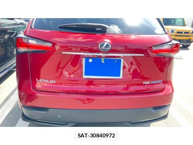 Lexus NX 2015-10 8659970-7