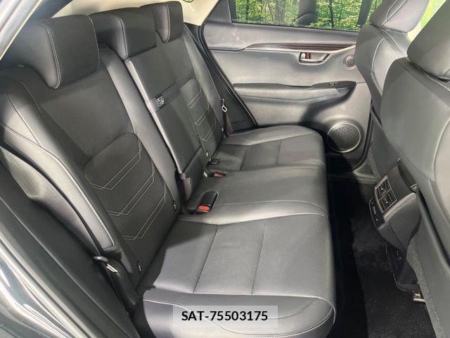 Lexus NX 2018-03 8743472-9