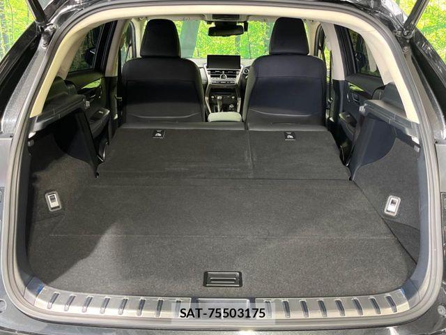 Lexus NX 2018-03 8743472-10