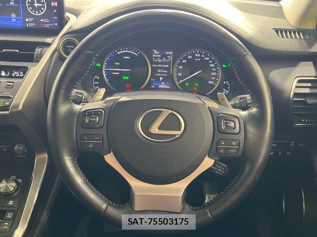 Lexus NX 2018-03 8743472-11