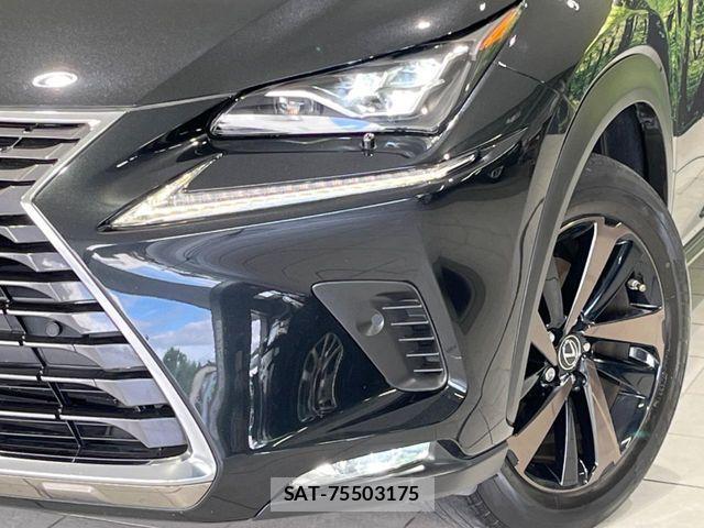 Lexus NX 2018-03 8743472-12