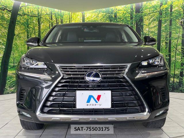 Lexus NX 2018-03 8743472-14