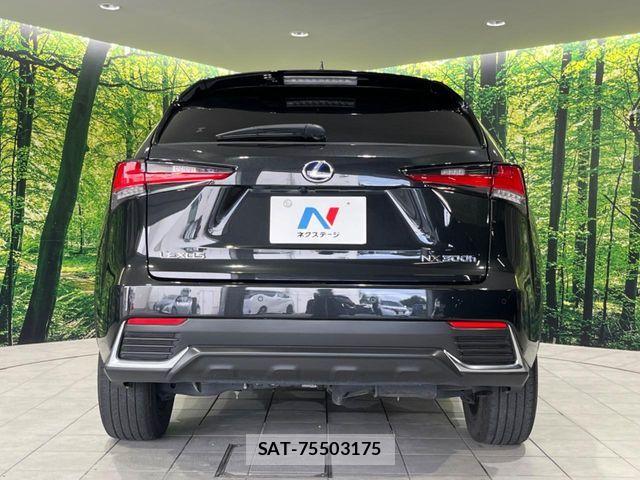 Lexus NX 2018-03 8743472-15