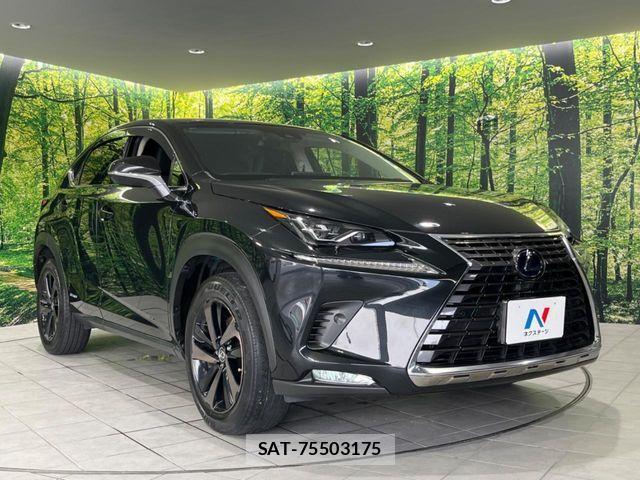 Lexus NX 2018-03 8743472-16
