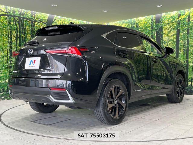 Lexus NX 2018-03 8743472-17
