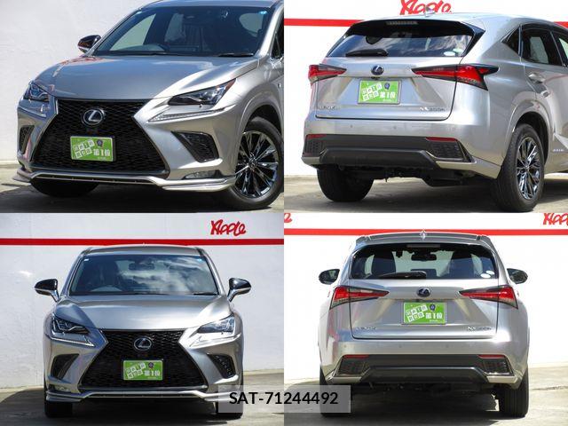 Lexus NX 2021-01 8743474-11