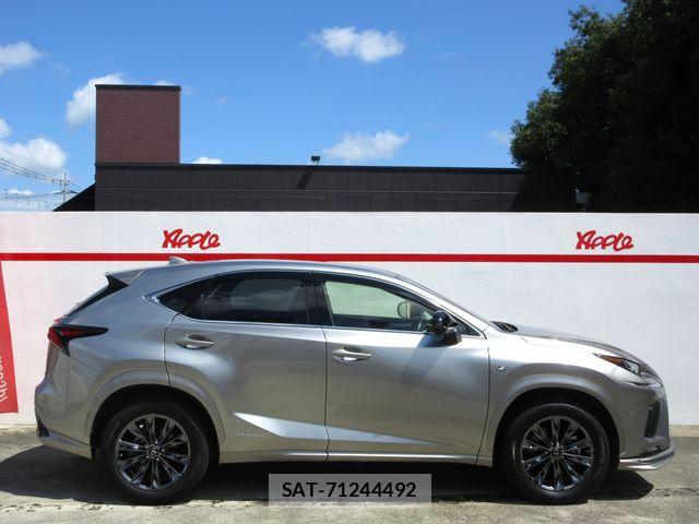 Lexus NX 2021-01 8743474-14