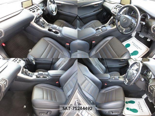 Lexus NX 2021-01 8743474-15