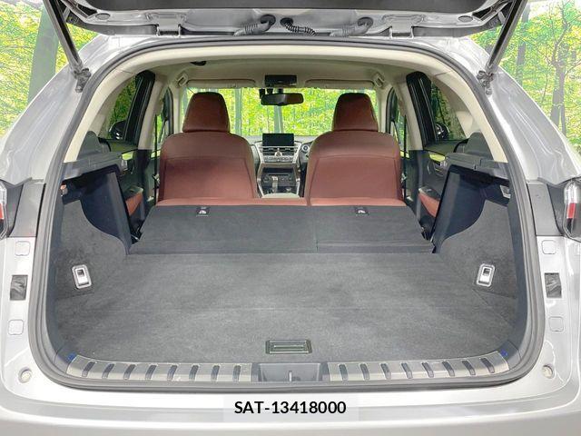 Lexus NX 2015-07 8780876-10