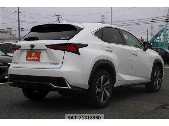 Lexus NX 2019-09 8829989-10