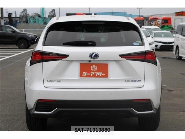 Lexus NX 2019-09 8829989-11