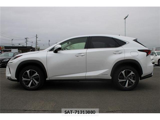 Lexus NX 2019-09 8829989-13