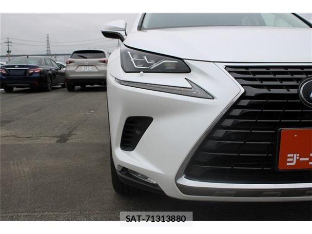 Lexus NX 2019-09 8829989-14