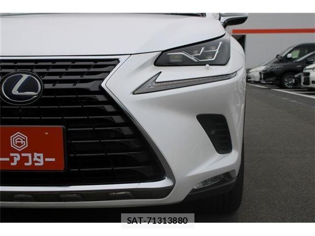 Lexus NX 2019-09 8829989-15