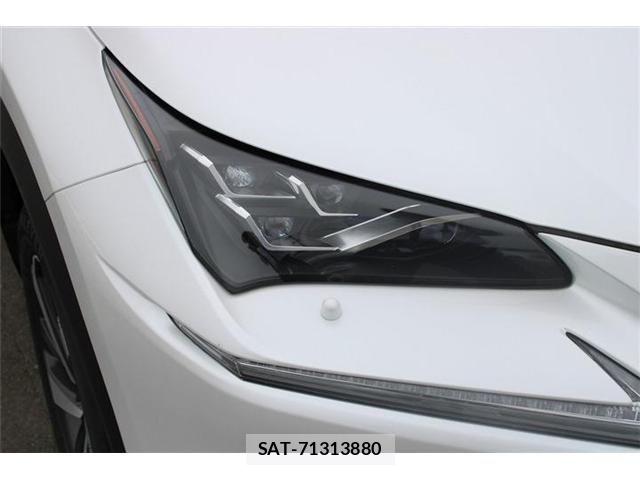 Lexus NX 2019-09 8829989-16
