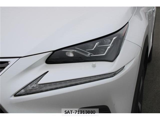 Lexus NX 2019-09 8829989-17