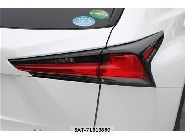 Lexus NX 2019-09 8829989-19