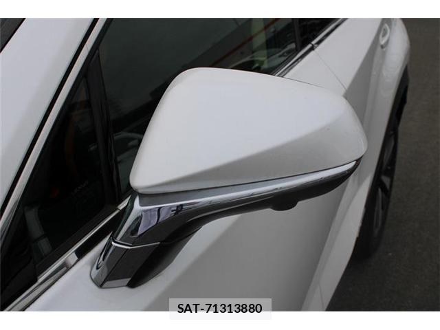 Lexus NX 2019-09 8829989-21