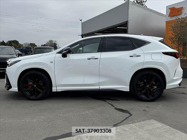Lexus NX 2022-11 4139882-10