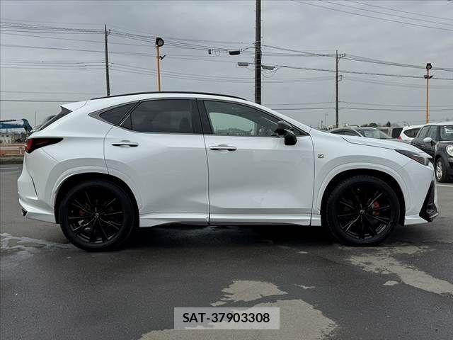 Lexus NX 2022-11 4139882-11