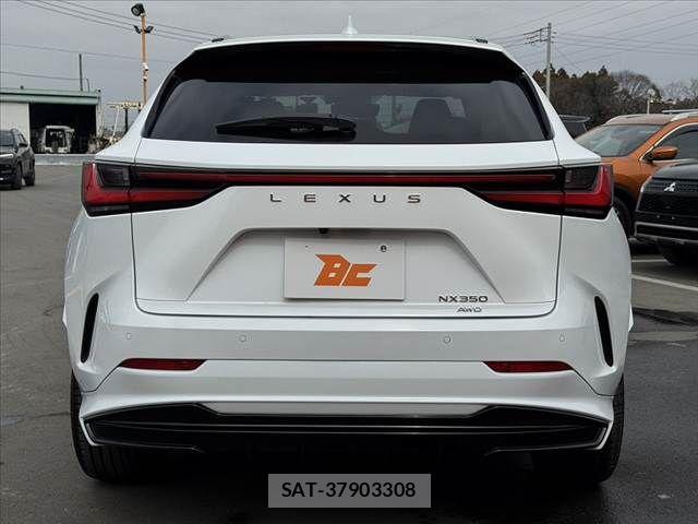 Lexus NX 2022-11 4139882-13