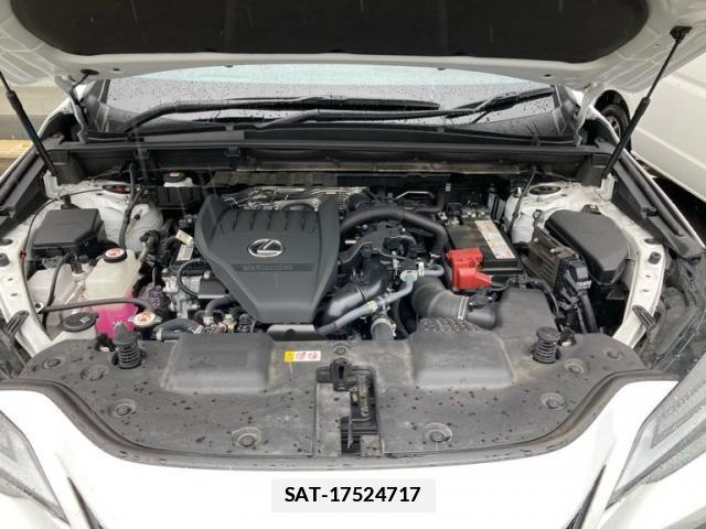 Lexus NX 2023-10 6276716-10