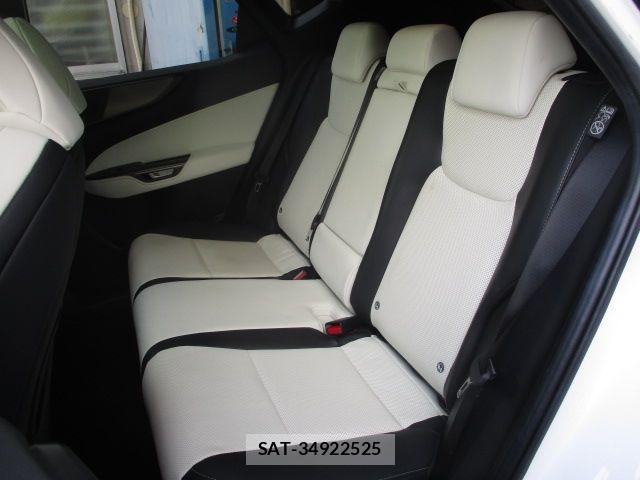 Lexus NX 2023-11 6499599-15