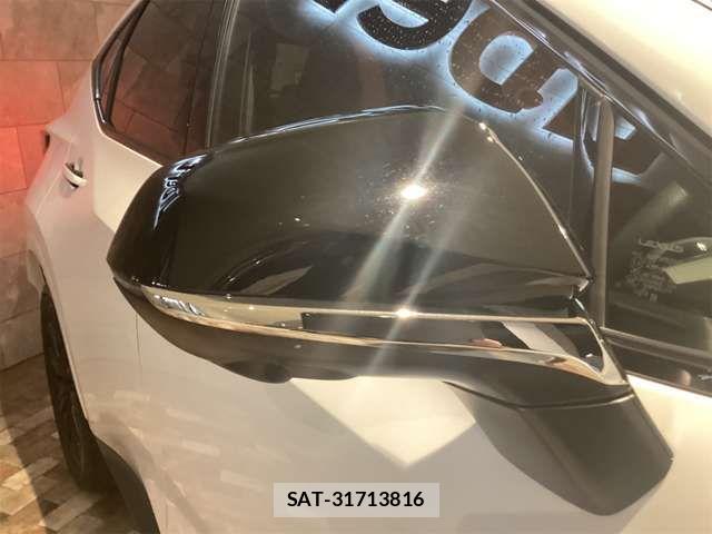 Lexus NX 2023-07 6907782-16