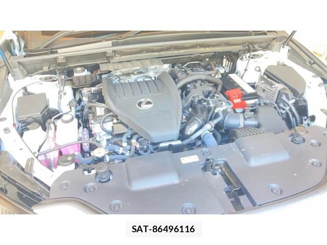 Lexus NX 2023-04 7221045-18