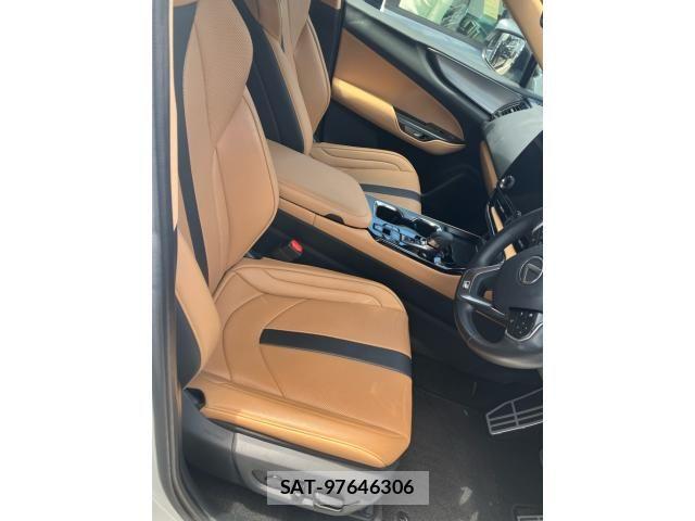 Lexus NX 2024-04 7221053-15
