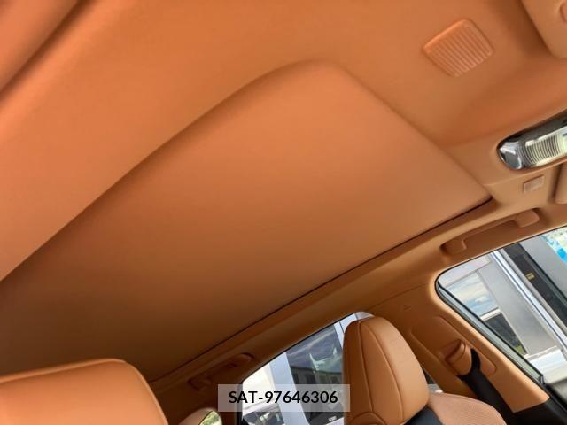 Lexus NX 2024-04 7221053-16