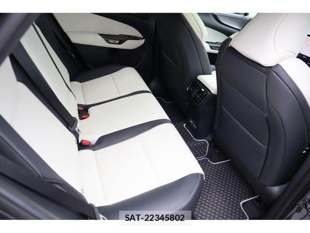 Lexus NX 2025-09 7358529-10