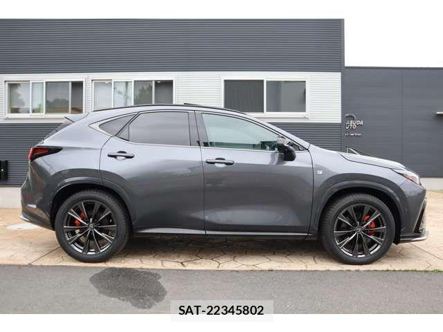 Lexus NX 2025-09 7358529-3