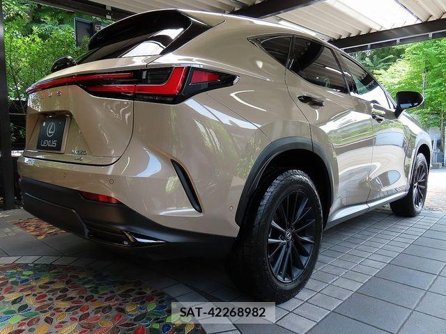 Lexus NX 2025-02 7501303-11