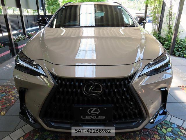 Lexus NX 2025-02 7501303-3