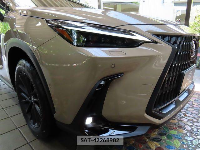 Lexus NX 2025-02 7501303-5