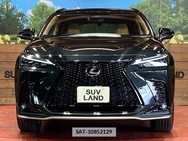 Lexus NX 2025-07 7725129-13