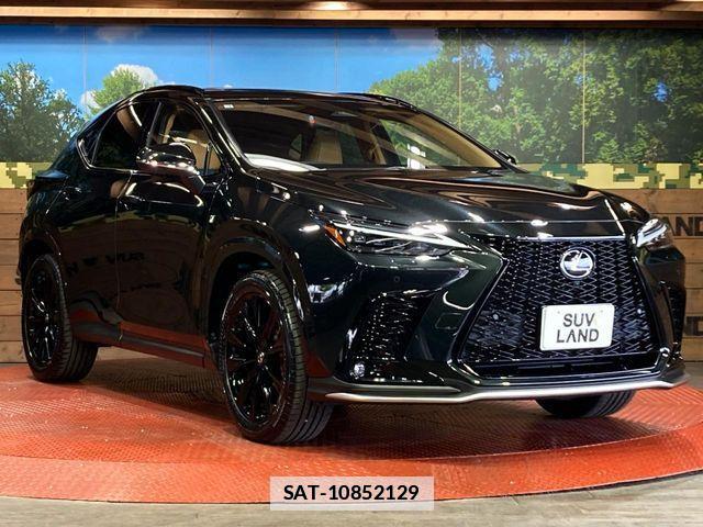 Lexus NX 2025-07 7725129-14