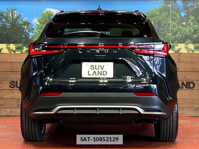 Lexus NX 2025-07 7725129-15