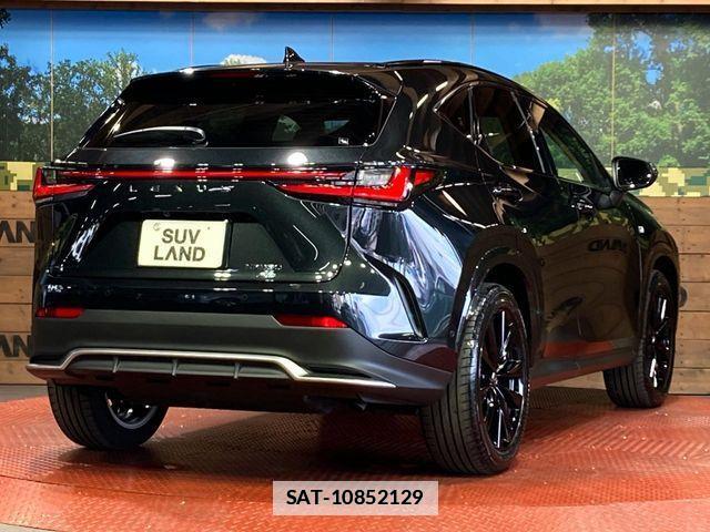 Lexus NX 2025-07 7725129-16
