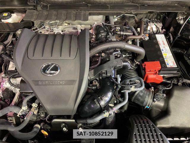 Lexus NX 2025-07 7725129-17