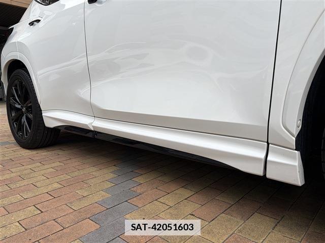Lexus NX 2022-11 7877412-10