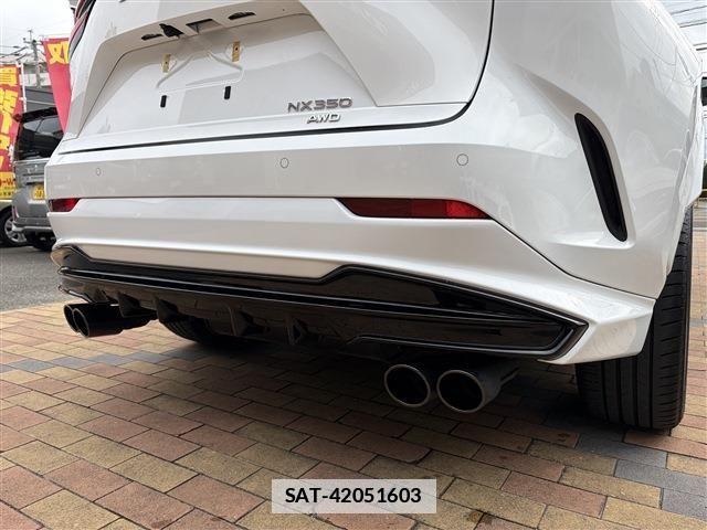 Lexus NX 2022-11 7877412-11
