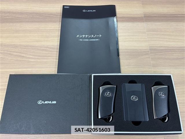 Lexus NX 2022-11 7877412-13