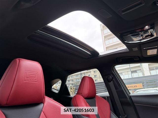 Lexus NX 2022-11 7877412-14
