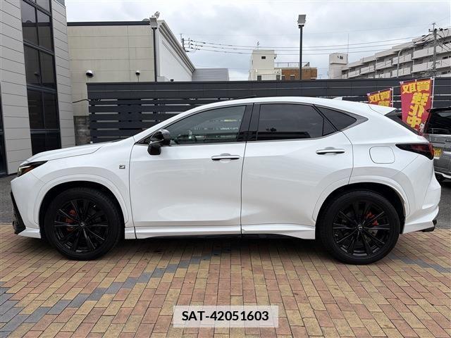 Lexus NX 2022-11 7877412-7