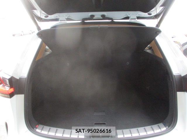 Lexus NX 2025-10 8036468-13